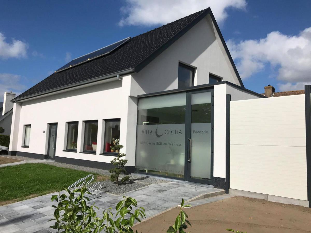 Villa Cecha B&b &Wellness Ostende Exterior foto